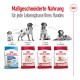 Medium Adult 4 kg