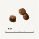 Trois morceaux de croquettes pour animaux marron sur un fond clair, avec une règle en dessous indiquant une échelle de 1 cm.