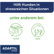 ADAPTIL Chew Anzeige mit deutschem Text „Hilft Hunden in stressreichen Situationen“ und „unter anderem bei:“ sowie Symbolen beschriftet mit „Feuerwerk“ und „Gewitter“.