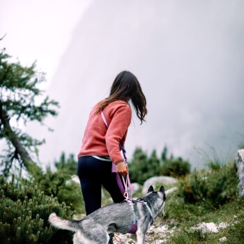 Eine Frau in einem rosa Pullover führt einen grau-weißen Hund an der Leine durch eine neblige, grüne Landschaft.
