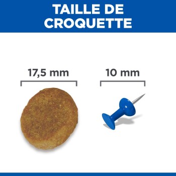 Comparaison de taille entre une croquette pour animal de 17,5 mm et une punaise bleue de 10 mm, étiquetée « Taille de Croquette » en français.