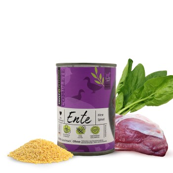 FAVLY Petfood Nassfutter Ente mit Hirse & Spinat 24×400 g