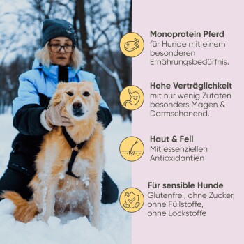 Dosenfutter für Hunde "Pferd und Pastinake" von Milo & Mia, zeigt einen Cartoonhund, rohes Fleisch und Pastinaken, fördert die Immun- und Verdauungsgesundheit.