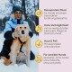 Dosenfutter für Hunde "Pferd und Pastinake" von Milo & Mia, zeigt einen Cartoonhund, rohes Fleisch und Pastinaken, fördert die Immun- und Verdauungsgesundheit.
