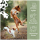 Zwei Hunde springen spielerisch im Freien mit deutschem Text über Agility, starke Bewegungen und hochwertige Zutaten.