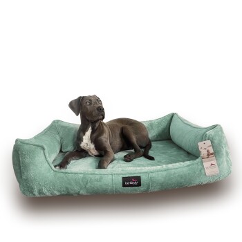 Ein brauner und weißer Hund liegt auf einem weichen, mintgrünen Haustierbett mit erhöhten Seiten, mit einem Etikett, das "tierlando" liest.