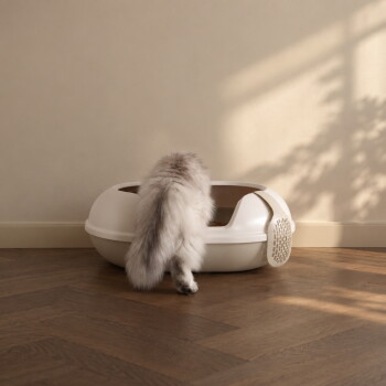 Eine beige Katzenstreuschaufel mit einem perforierten Design und einem Haken zum Aufhängen, vor einem weißen Hintergrund.