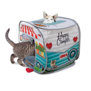 Chatons calico et tigrés dans un jouet pour chat en forme de camping‑car étiqueté «Happy Camper», avec le logo KONG et un jouet cœur rouge.