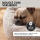 Ein schlafender Französischer Bulldogge auf einem gemütlichen, donutförmigen Hundebett mit dem Text "süße Träume" und Details: "Boucle-Stoff," "Donut Form," "Anti Rutsch."