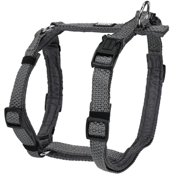 Harnais pour animaux de compagnie gris avec des sangles réglables et un anneau en D en métal pour attacher la laisse, conçu pour le confort et la sécurité.