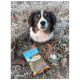 Ein flauschiger Hund mit braunem und weißem Fell sitzt auf frostem Gras neben einem Beutel mit Hundeleckerlis, der mit 'Gutsho-Happen' beschriftet ist.