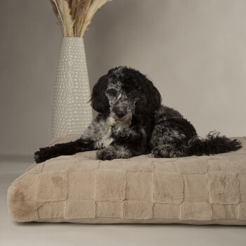 Ein schwarzer und grauer Hund, der auf einem plüschigen beigen Hundebett liegt, mit einer strukturierten Oberfläche, neben einer hohen, gemusterten Vase mit getrockneten Pflanzen.