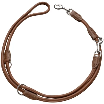 Braune Leder-Hundeleine mit silbernen Metallclips und Ringen, ausgestattet mit einem Schlaufenhandgriff für einen einfachen Griff.