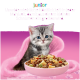 Grau getigertes Kätzchen mit rosa Schüssel mit gemischtem Trockenfutter auf rosa Decke; Text „Junior“ und „Unwiderstehliche Köstlichkeit“.