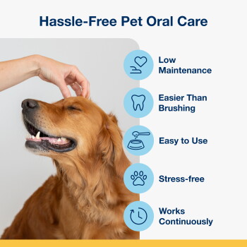 Golden retriever being petted beside header "Hassle-Free Pet Oral Care" with icons and a benefits list