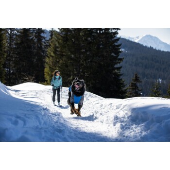 Ein glücklicher Hund in einer blauen Weste läuft durch einen verschneiten Pfad, während eine Person in einer türkisfarbenen Jacke dahinter in einem bewaldeten Berggebiet geht.