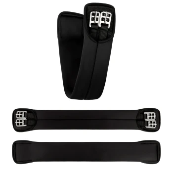 Schwarzes Haustiergeschirr mit verstellbaren Riemen und Metall-Schnallen, aus mehreren Winkeln auf einem weißen Hintergrund präsentiert.