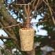 Ein zylindrischer Vogelhäuschen aus Saatgemixtur, der mit Schnur von einem Baumzweig hängt, umgeben von grünem Laub.