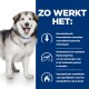 Een fluffy hond met een blauwe halsband staat naast tekst over een product dat de urinegezondheid en het metabolisme ondersteunt.