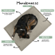 Ein zusammengekrümmter Hund ruht auf einem weichen, beigen Hundebett auf einem Holzboden, mit einer modernen Holzlattenwand im Hintergrund.