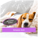Ein schlafender Beagle-Hund ruht auf einem Sofa, mit Textüberlagerungen auf Deutsch: "Mit sanften Düften!" und "Entspann' dich!"