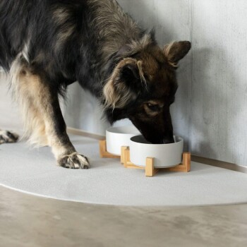 Ein Hund mit dunklem Fell frisst aus zwei modernen, weißen Futternäpfen mit Holzständern, die auf einer hellgrauen Matte vor einer Betonwand stehen.