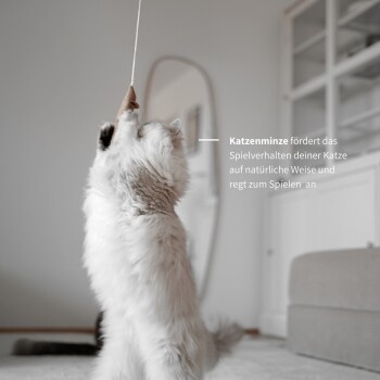 Eine flauschige weiße Katze, die verspielt nach einem hängenden Spielzeug greift, mit Text auf Deutsch, der besagt, dass Katzenminze das natürliche Spielverhalten fördert.