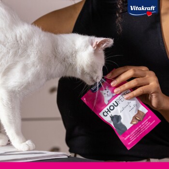 Eine weiße Katze schnüffelt an einer pinken Tüte Vitakraft Choupette Katzenleckerlis, die von einer Person gehalten wird, und zeigt das Branding und Design des Produkts.