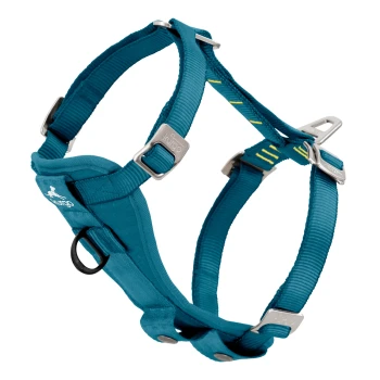 Teal Hundegeschirr mit verstellbaren Riemen und Metall-Schnallen, das ein Logo und einen D-Ring zur Leinenbefestigung aufweist.