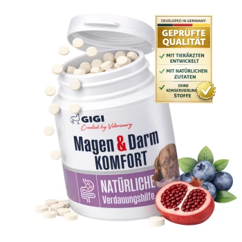 Gigi Magen & Darm Komfort Ergänzungsmittel für Hunde, enthält 30 Tabletten, mit Heidelbeeren und Granatapfel daneben.