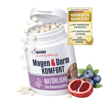 Gigi Magen & Darm Komfort Ergänzungsmittel für Hunde, enthält 30 Tabletten, mit Heidelbeeren und Granatapfel daneben.