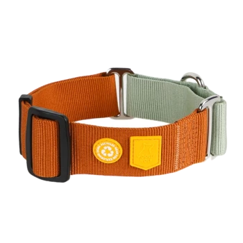 Ein orange-grüner verstellbarer Haustierhalsband mit einer schwarzen Schnalle, einem Metall-D-Ring und Etiketten für Recycling und "WOOLLY WOLF."