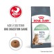 Sac de nourriture pour chats Royal Canin Digestive avec une illustration de chat et le texte : "Supports healthy digestion" et "95% stool quality in 10 days."