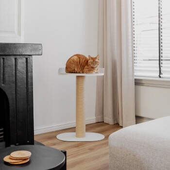 Eine entspannte orange getigerte Katze ruht auf einem modernen weißen Katzenbaum mit einem beigen Kratzbaum, in einem gemütlichen Wohnzimmer.