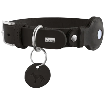 Schwarzes Lederhalsband mit silbernem Verschluss, runde Marke mit eingeprägtem Hund und Metallplakette mit der Aufschrift 'HUNTER'.