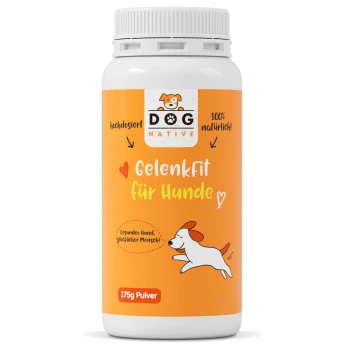 Behälter mit "GelenkFit für Hunde" Hundesupplement-Pulver, 175g, mit einem orangefarbenen Etikett und einer verspielten Hundillustration, die die Gelenkgesundheit fördert.