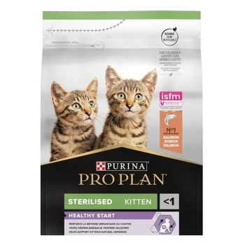 Sac de nourriture pour chaton Royal Canin Stérilisé mettant en avant deux chatons tigrés sur le devant, soulignant le saumon comme ingrédient principal.