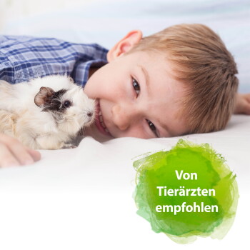 Lächelnder Junge liegt mit einem weiß-braunen Meerschweinchen auf einem Bett; grünes Badge mit der Aufschrift 'Von Tierärzten empfohlen'.