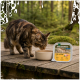 Chat tigré buvant dans une gamelle sur une terrasse en forêt à côté d'une barquette de nourriture pour chats Wilderness Pure Chicken Adult marquée «99 % poulet».