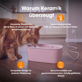 Orangefarbene Katze trinkt aus rosa keramischem Trinkbrunnen auf Holzfußboden; deutsche Überschrift 'Warum Keramik überzeugt' und Vorteilstexte.