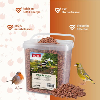 Transparente Dose PANTO 'Erdnusskerne mit Haut' für Vögel, Haufen Nüsse, Rotkehlchen und Grünfink, Badge '100% naturbelassen'