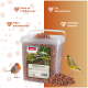 Transparente Dose PANTO 'Erdnusskerne mit Haut' für Vögel, Haufen Nüsse, Rotkehlchen und Grünfink, Badge '100% naturbelassen'
