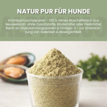 ALPHAZOO Grünlippmuschel-Pulververpackung für Pferde, die Vorteile für die Beweglichkeit, umweltfreundliches Design und Eignung für alle Rassen und Altersgruppen zeigt.