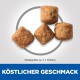 Science Plan Light Adult Large Breed mit Huhn 2x14 kg