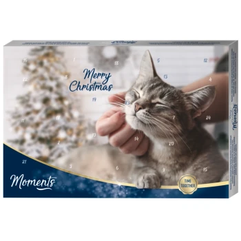 Un calendrier de l'Avent pour animaux de compagnie festif mettant en scène un chat gris heureux caressé, avec un message 'Joyeux Noël' et un arbre décoré en arrière-plan.