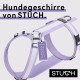 Ein lavendelfarbenes Hundegeschirr von STUCH mit einem "Vegan Approved"-Tag, mit verstellbaren Riemen und einem robusten Design.