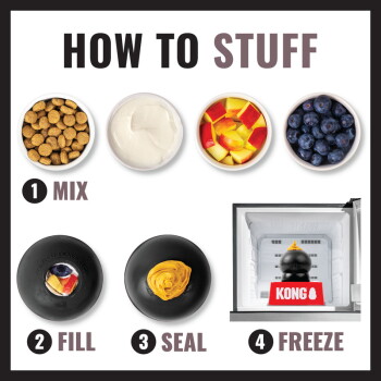 How to Stuff poster: bowls of kibble, yogurt and fruit, plus KONG toy with steps labeled MIX, FILL, SEAL, FREEZE