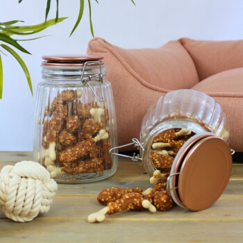 Ein Glasbehälter gefüllt mit Hundeleckerlis in Knochenform, mit einigen Leckerlis, die daneben gefallen sind, neben einem Seilspielzeug und einem rosa Sofa.