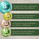 ® nature Biotin-Konzentrat 1 kg