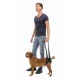Man holding black dog lift harness supporting a brown dog's hindquarters with two long straps